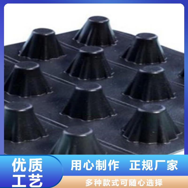 塑料排水板塑料土工格栅真材实料加工定制严谨工艺