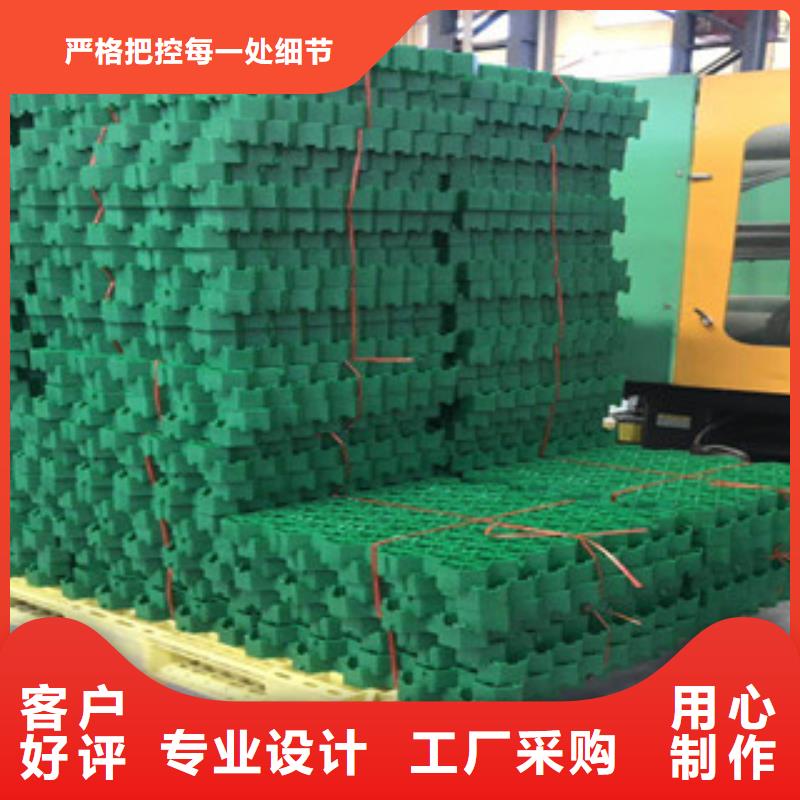 环保植草格蓄排水板厂家来电咨询{当地}生产厂家