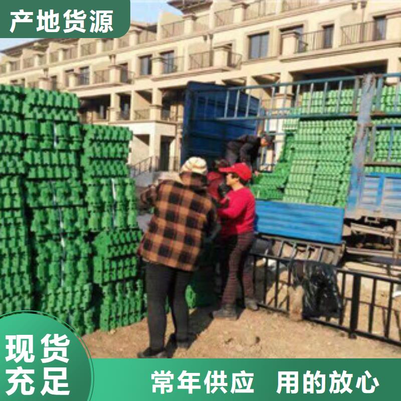 【环保植草格】-蓄排水板厂家源头厂家来图定制质量可靠