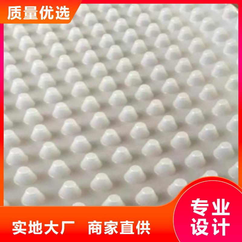 排水板_蓄排水板厂家值得信赖[当地]货源