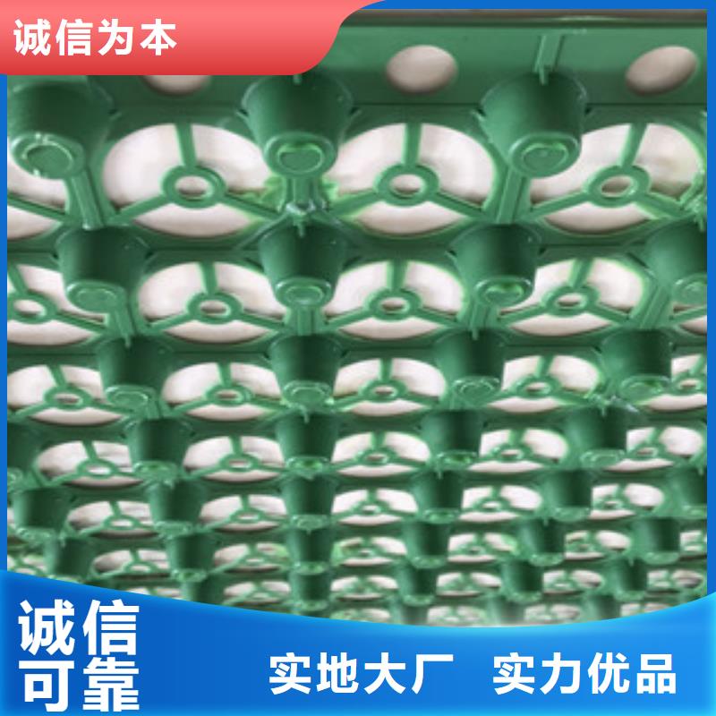 蓄排水板,植草格厂家诚信经营质量保证价格低