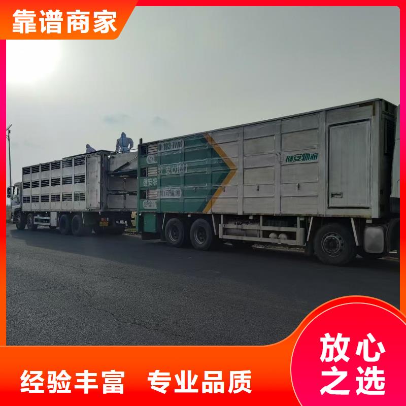 宿迁到猪只运输专用车-空调车值得信赖大品牌值得信赖