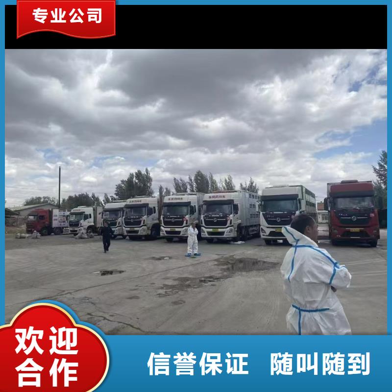 恒温车运输快速专业可靠恒温车运输库存充足
