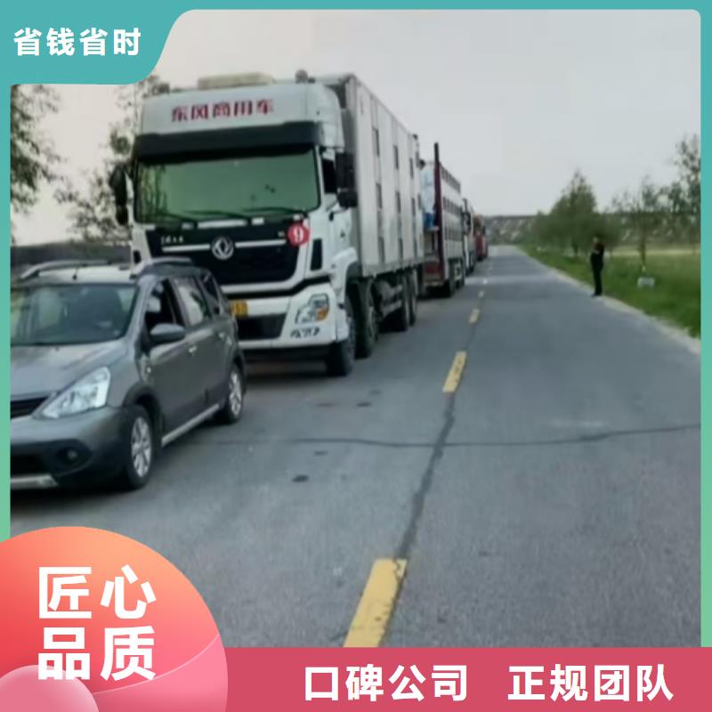 宿迁泗阳到牛运输-专用车经验丰富优选原材