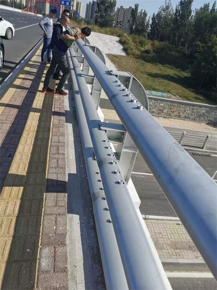道路隔离护栏-道路隔离护栏服务优