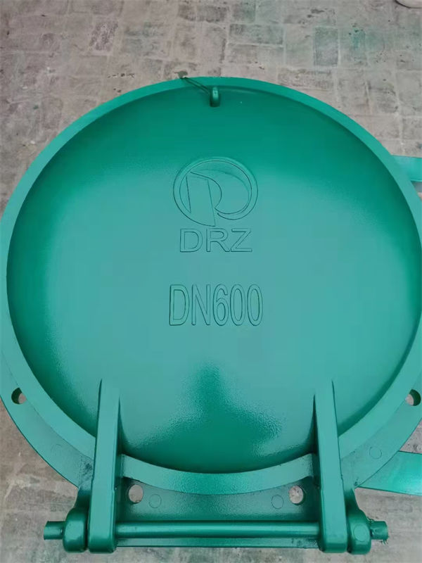 拍门-不锈钢拍门品质优选