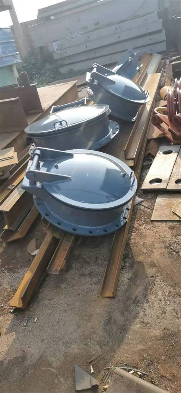 拍门,不锈钢拍门现货直供
