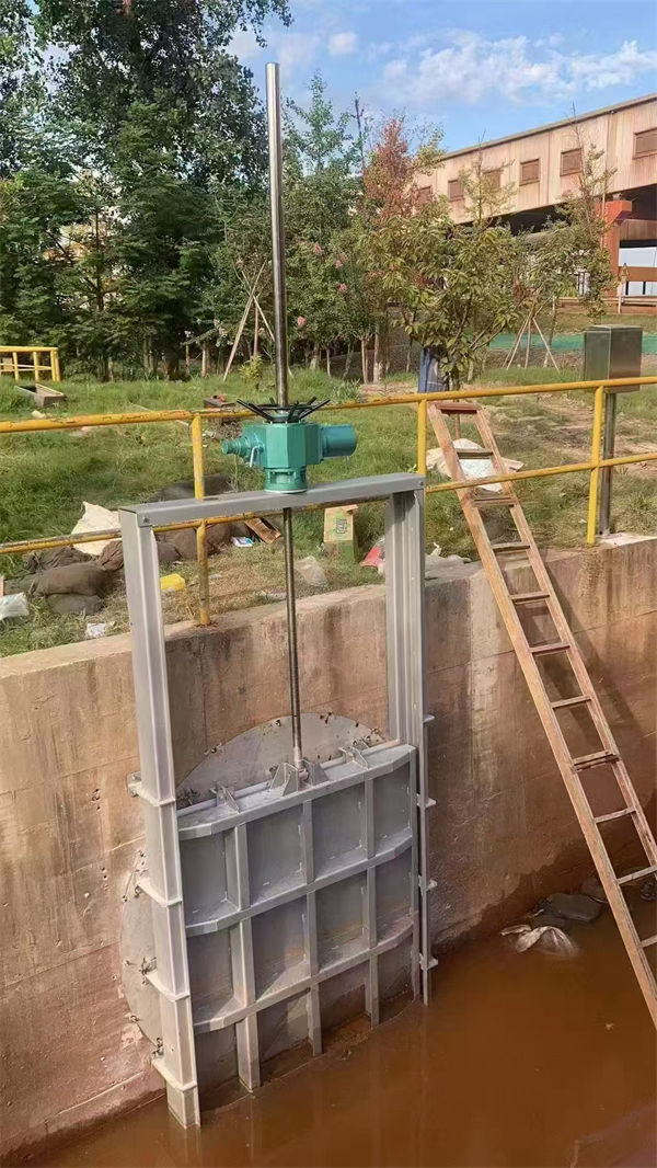 不锈钢闸门,一体式不锈钢闸门经验丰富质量放心