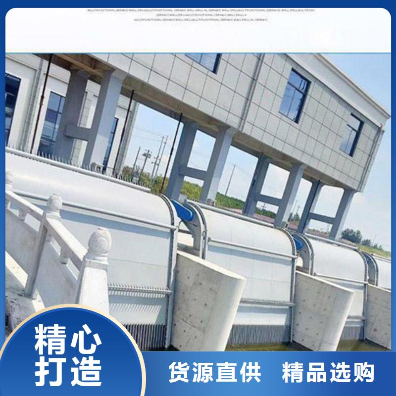 清污机滑动钢闸门打造行业品质厂家经验丰富