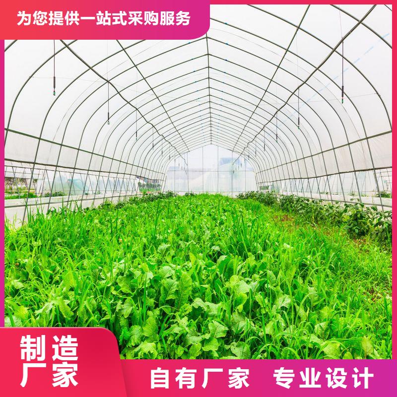 大棚管2蔬菜温室大棚管现货充裕<当地>经销商