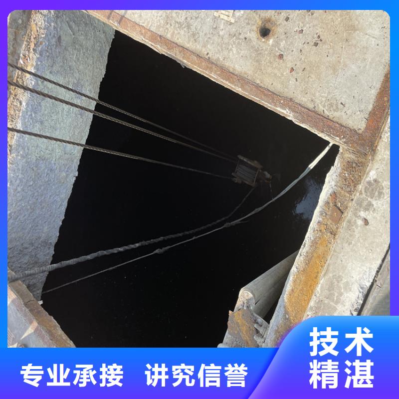 水下救援队【本地施工队】知名公司