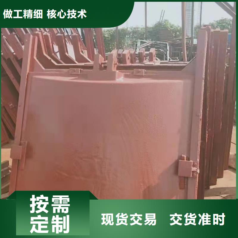 附壁式铸铁闸门免费提供咨询物美价优