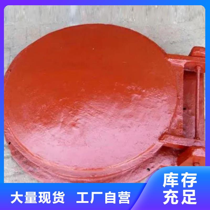 拍门球墨铸铁闸门源厂直接供货<本地>货源