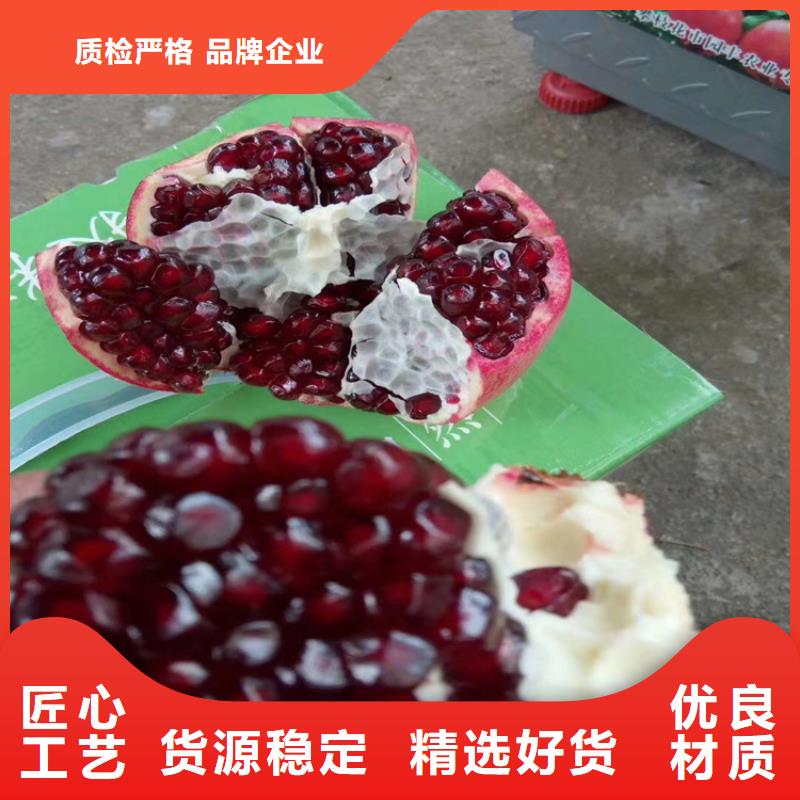 石榴石榴树源头厂家严谨工艺