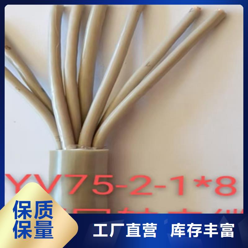 射频同轴电缆,铁路信号电缆多年实力厂家本地货源