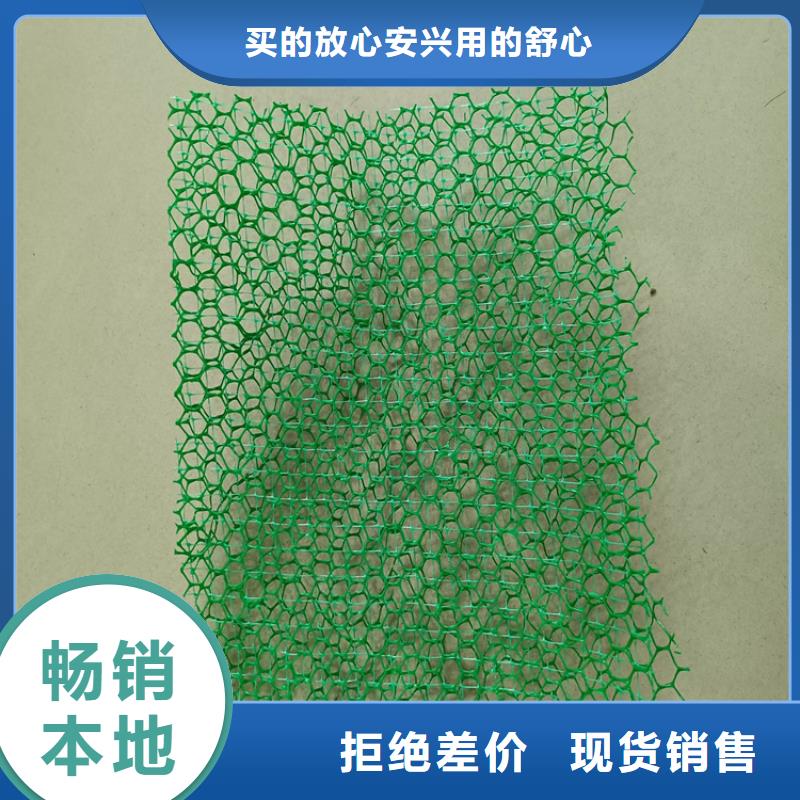 三维植被网通风降噪丝网工厂批发<当地>厂家