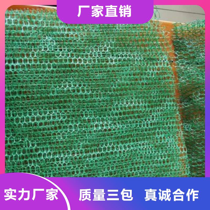 三维植被网-沥青麻丝板厂家直销售后完善支持定制批发