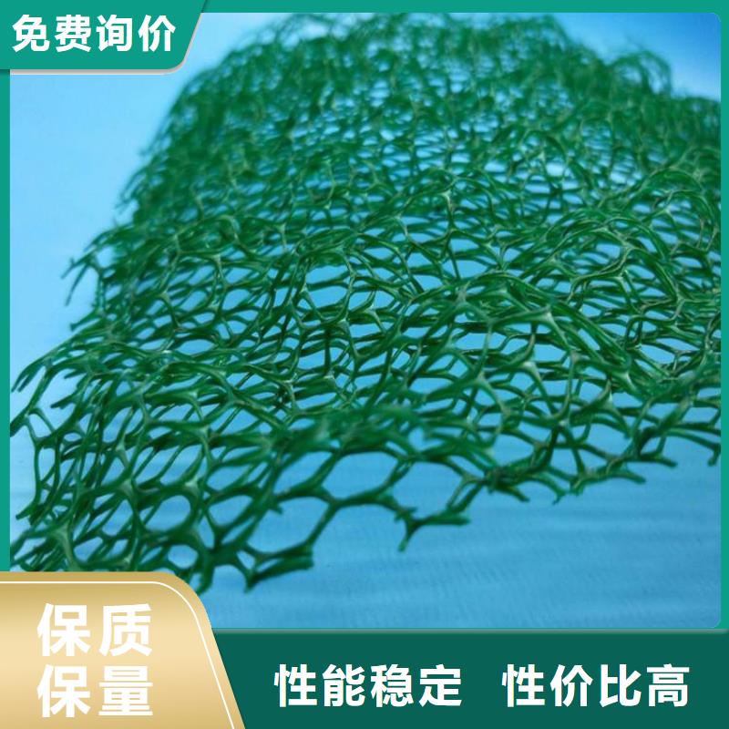 三维植被网土工格栅现货采购低价货源