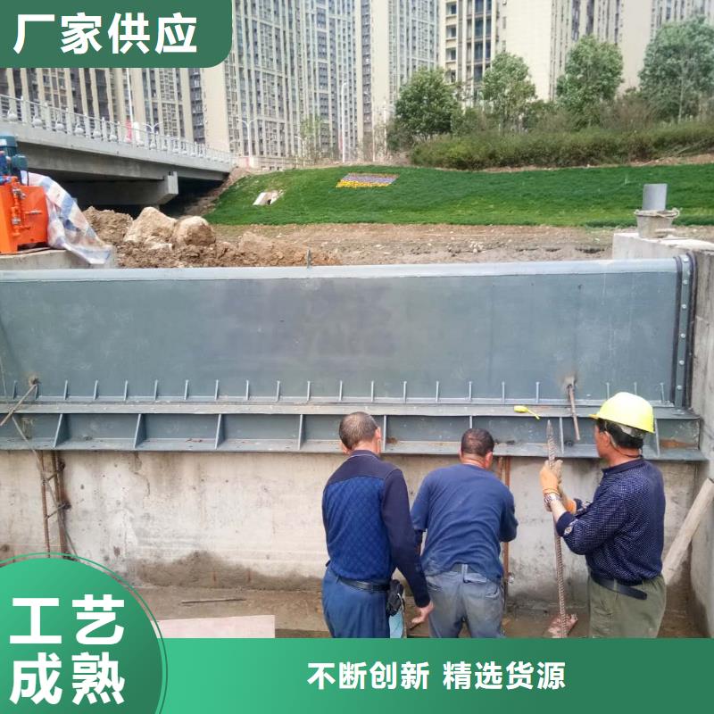 翻板闸门移动抓斗式清污机性价比高实力大厂家