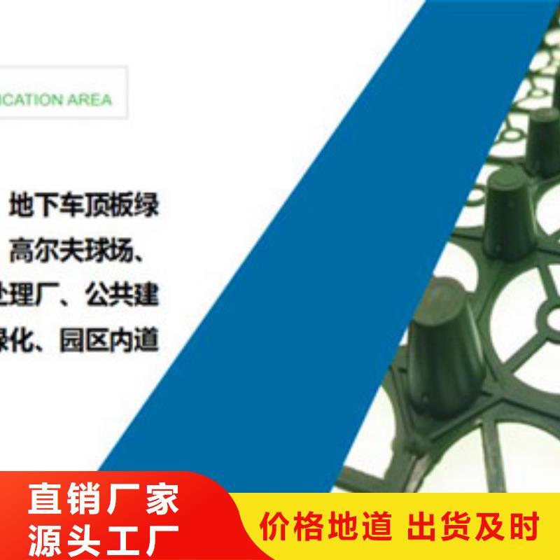 排水板土工格栅自有生产工厂【当地】生产商