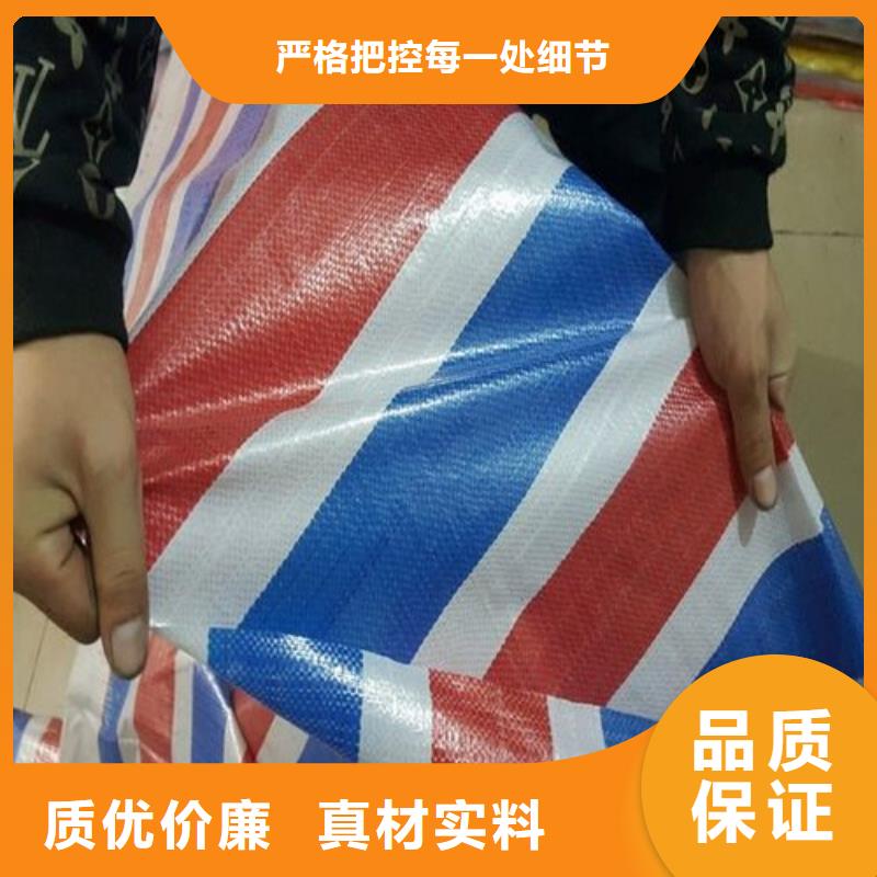 彩条布-【绿化防寒布】敢与同行比价格同城生产厂家