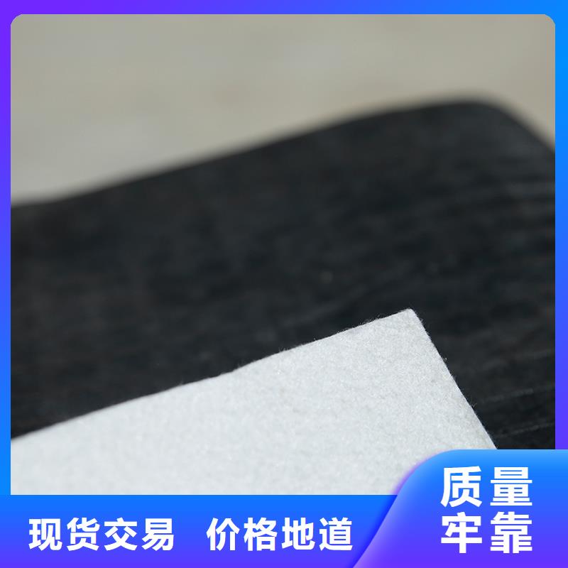 土工布三维植被网按需定做敢与同行比质量