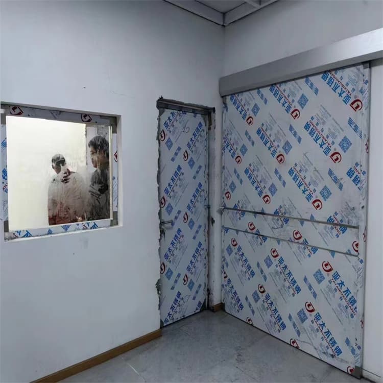 子母电动铅门-专注子母电动铅门十多年