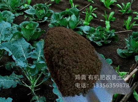 有机肥增加土壤肥力