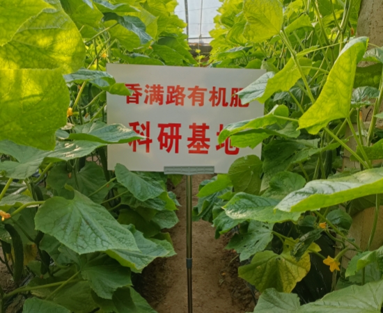 鸡粪怎么买