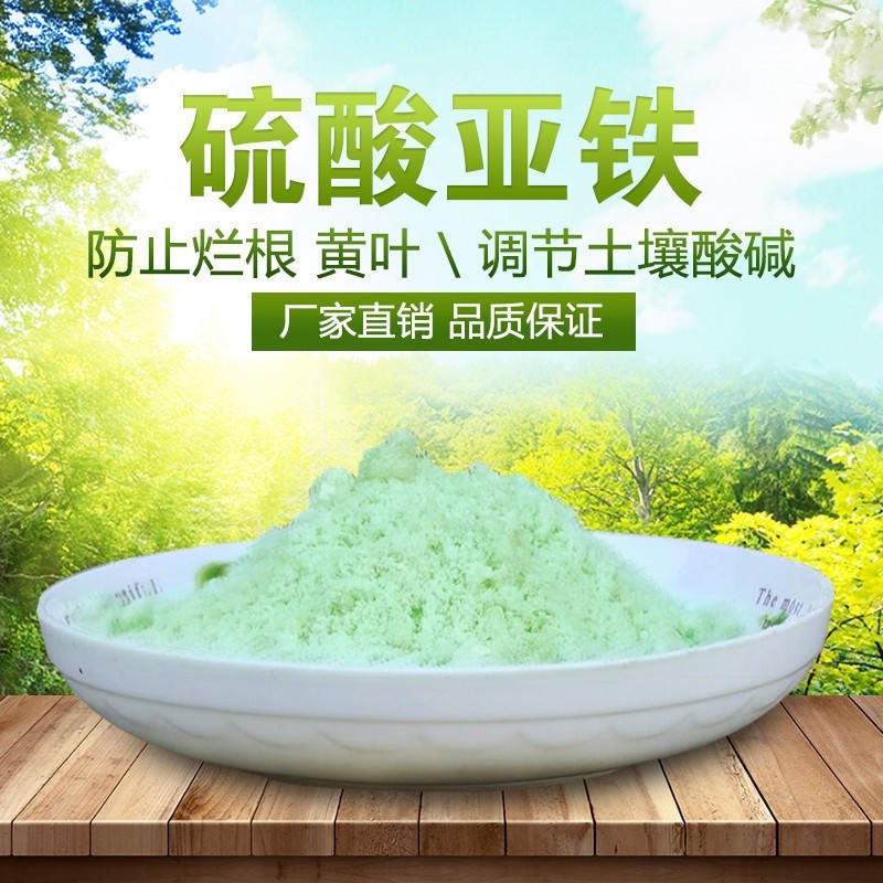 硫酸亚铁拥有核心技术优势