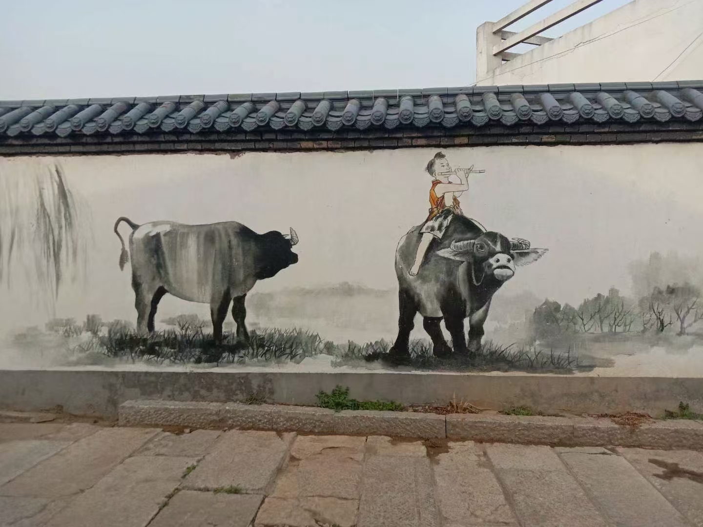 美丽乡村振兴彩绘墙绘团队