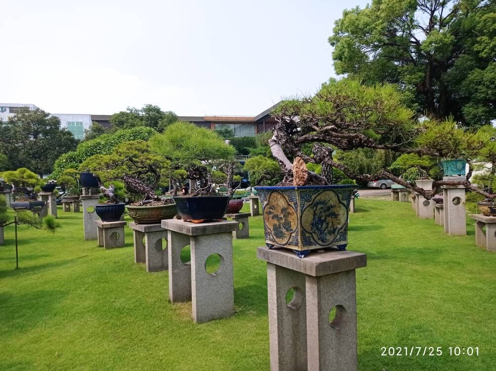 土壤固化剂生物酶土壤固化剂使用方法