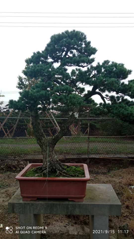 土壤固化剂_沙漠沙土固化剂质量优价格低