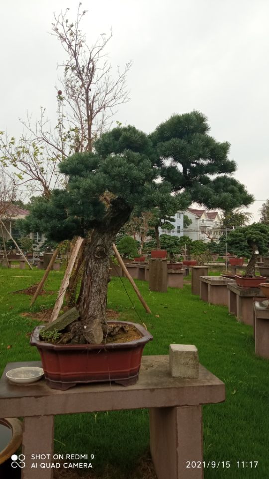 土壤固化剂专注生产制造多年