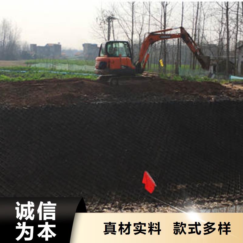 蜂巢格室塑料土工格栅同行低价真材实料加工定制